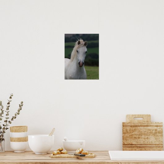Bob Langrish | Grey Welsh Pony Headshot Poster (Küche)