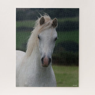 Bob Langrish   Grey Welsh Pony Headshot Puzzle