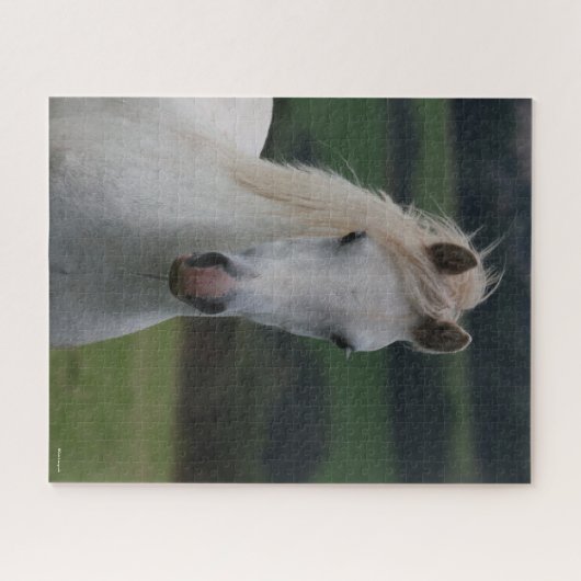 Bob Langrish | Grey Welsh Pony Headshot Puzzle (Horizontal)