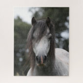 Bob Langrish | Grey Welsh Pony Headshot Puzzle (Vertikal)