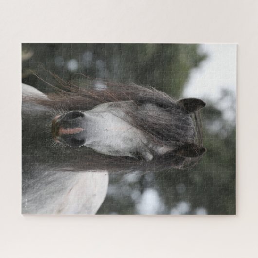 Bob Langrish | Grey Welsh Pony Headshot Puzzle (Horizontal)