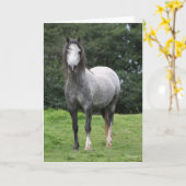 Bob Langrish | Grey Welsh Pony Stehend Karte (Gelbe Blume)