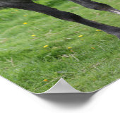 Bob Langrish | Grey Welsh Pony Stehend Poster (Ecke)