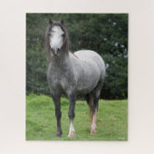 Bob Langrish | Grey Welsh Pony Stehend Puzzle (Vertikal)