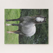 Bob Langrish | Grey Welsh Pony Stehend Puzzle (Horizontal)