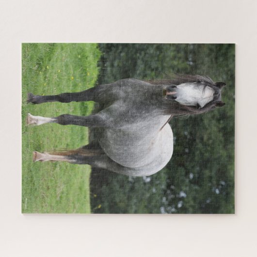 Bob Langrish | Grey Welsh Pony Stehend Puzzle (Horizontal)