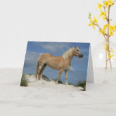 Bob Langrish | Haflinger am Strand Stehend Karte (Gelbe Blume)