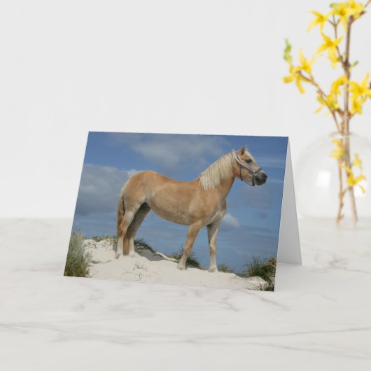 Bob Langrish | Haflinger am Strand Stehend Karte (Gelbe Blume)