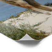 Bob Langrish | Haflinger am Strand Stehend Poster (Ecke)