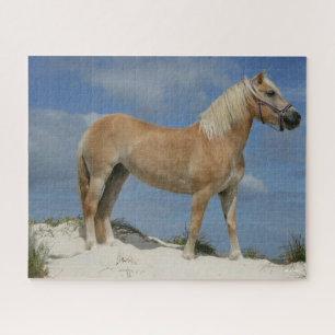 Bob Langrish   Haflinger am Strand Stehend Puzzle