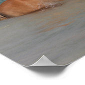 Bob Langrish | Haflinger Pferd schwimmen im Meer Poster (Ecke)