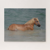 Bob Langrish | Haflinger Pferd schwimmen im Meer Puzzle (Horizontal)