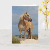 Bob Langrish | Haflinger Stehend am Strand Karte (Gelbe Blume)