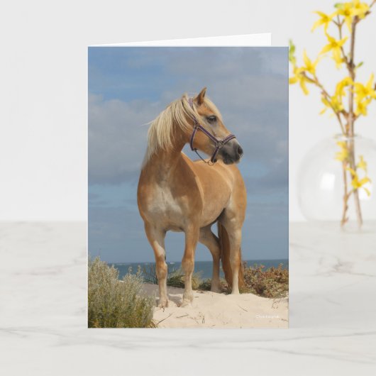 Bob Langrish | Haflinger Stehend am Strand Karte (Gelbe Blume)