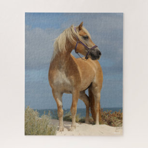 Bob Langrish Haflinger Stehend am Strand Puzzle