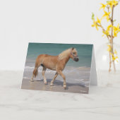 Bob Langrish | Haflinger Walking am Strand Karte (Gelbe Blume)