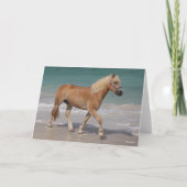 Bob Langrish | Haflinger Walking am Strand Karte (Vorderseite)