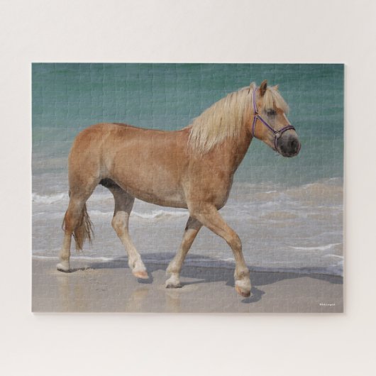 Bob Langrish | Haflinger Walking am Strand Puzzle (Horizontal)