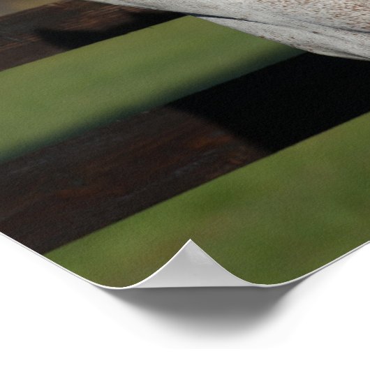 Bob Langrish | Headshot "Arab Mare and Foath" Poster (Ecke)