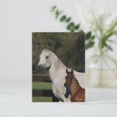 Bob Langrish | Headshot "Arab Mare and Foath" Postkarte (Stehend Vorderseite)