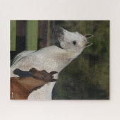 Bob Langrish | Headshot "Arab Mare and Foath" Puzzle (Horizontal)