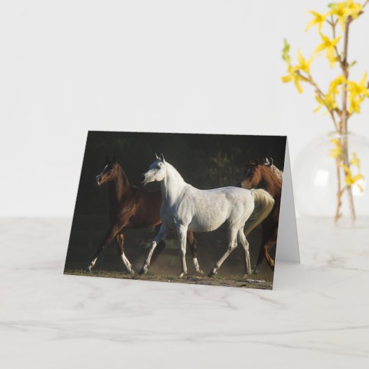 Bob Langrish | Herd Arab Mares Walking Karte (Gelbe Blume)