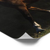 Bob Langrish | Herd Arab Mares Walking Poster (Ecke)