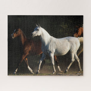 Bob Langrish Herd Arab Mares Walking Puzzle