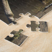 Bob Langrish | Herd Arab Mares Walking Puzzle (Seite)