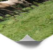 Bob Langrish | Herd der walisischen Ponys Stehend Poster (Ecke)