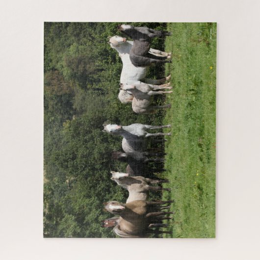 Bob Langrish | Herd der walisischen Ponys Stehend Puzzle (Vertikal)