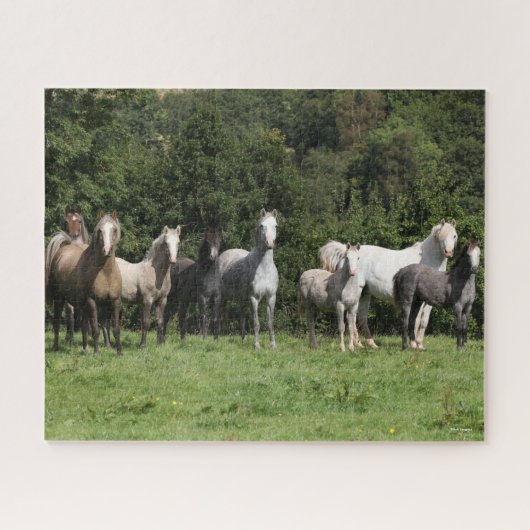 Bob Langrish | Herd der walisischen Ponys Stehend Puzzle (Horizontal)