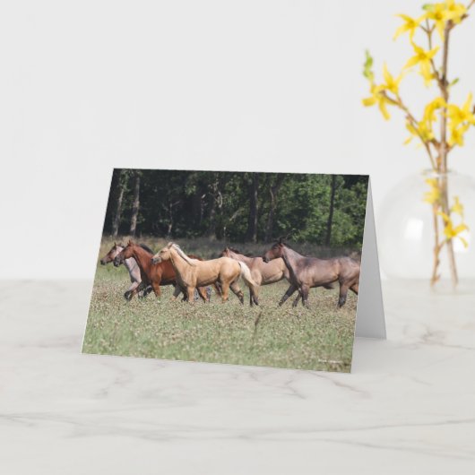 Bob Langrish | Herd Quarter Pferde Wandern Karte (Gelbe Blume)