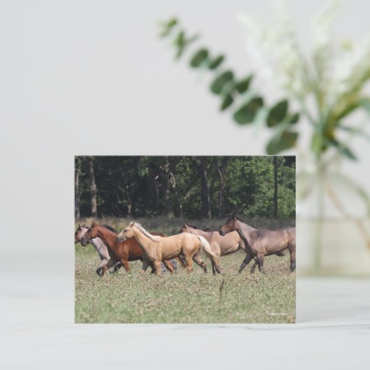 Bob Langrish | Herd Quarter Pferde Wandern Postkarte (Stehend Vorderseite)