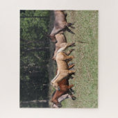 Bob Langrish | Herd Quarter Pferde Wandern Puzzle (Vertikal)
