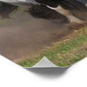 Bob Langrish | Herd von Sinti und Roma Vanner Pfer Poster (Ecke)