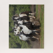 Bob Langrish | Herd von Sinti und Roma Vanner Pfer Puzzle (Vertikal)