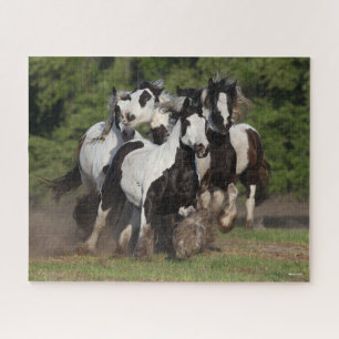Bob Langrish   Herd von Sinti und Roma Vanner Pfer Puzzle
