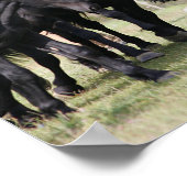 Bob Langrish | Herde Schwarze Meren Pferde und Hun Poster (Ecke)