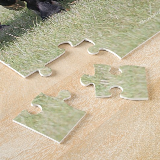 Bob Langrish | Herde Schwarze Meren Pferde und Hun Puzzle (Seite)