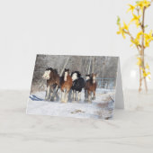 Bob Langrish | Herde von Clydesdales im Schnee Karte (Gelbe Blume)