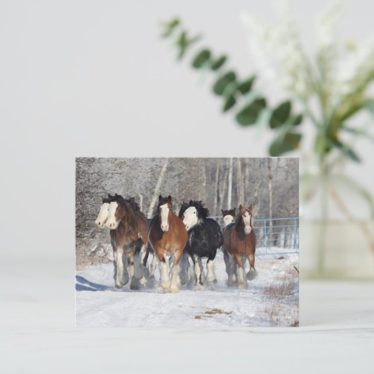 Bob Langrish | Herde von Clydesdales im Schnee Postkarte (Stehend Vorderseite)
