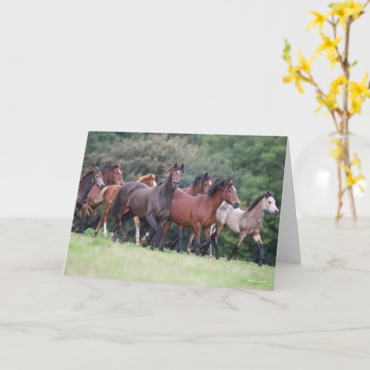 Bob Langrish | Herde walisischer Ponys in Field Karte (Gelbe Blume)