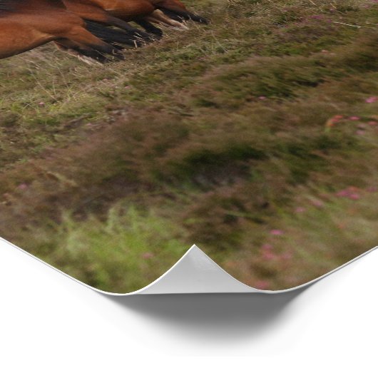 Bob Langrish | Herden - Neue Waldschächte Stehend Poster (Ecke)