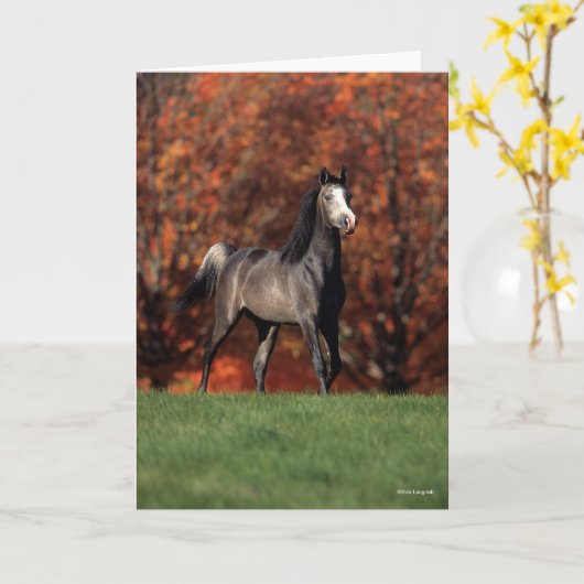 Bob Langrish | Hintergrund des Stehenden arabische Karte (Gelbe Blume)