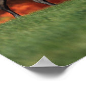 Bob Langrish | Hintergrund des Stehenden arabische Poster (Ecke)