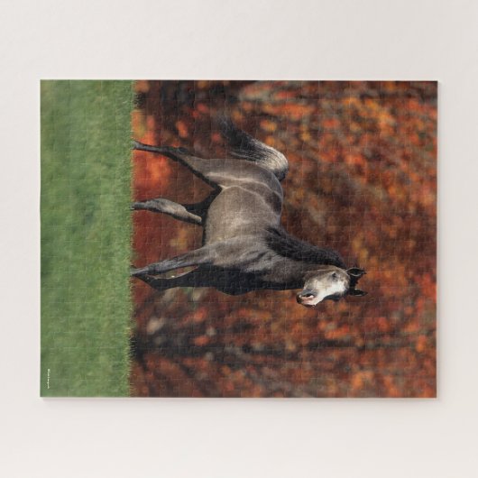 Bob Langrish | Hintergrund des Stehenden arabische Puzzle (Horizontal)