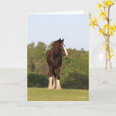 Bob Langrish | Im Feld Stehendes Pferd Karte (Gelbe Blume)