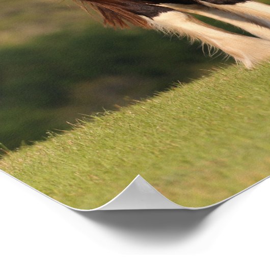 Bob Langrish | Im Feld Stehendes Pferd Poster (Ecke)