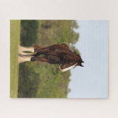 Bob Langrish | Im Feld Stehendes Pferd Puzzle (Horizontal)